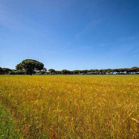 Agriturismo Bio Femminella Principina a Mare Eksteriør billede