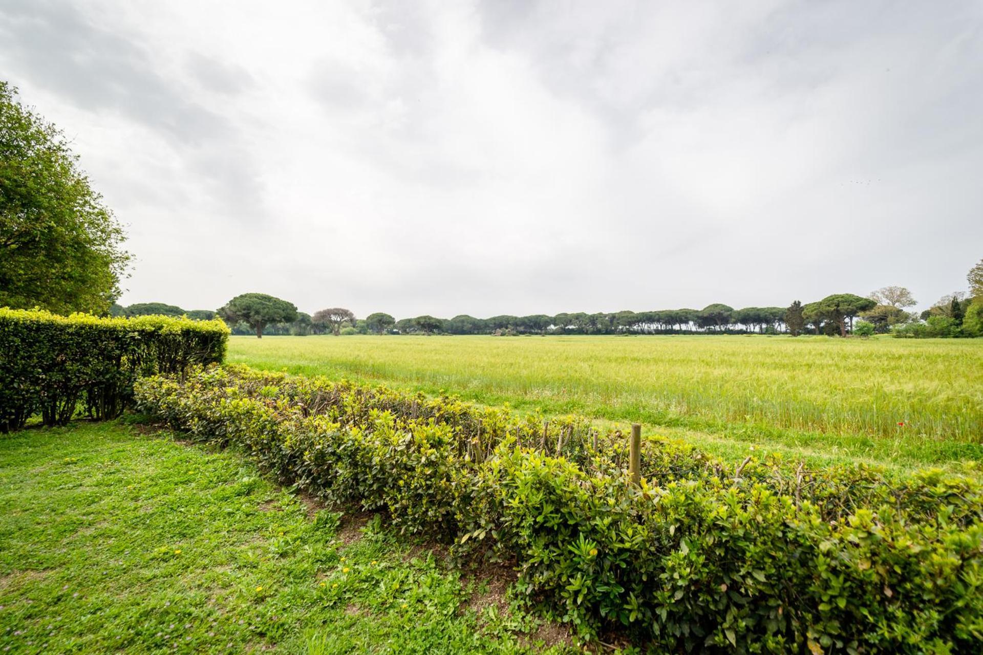 Agriturismo Bio Femminella Principina a Mare Eksteriør billede