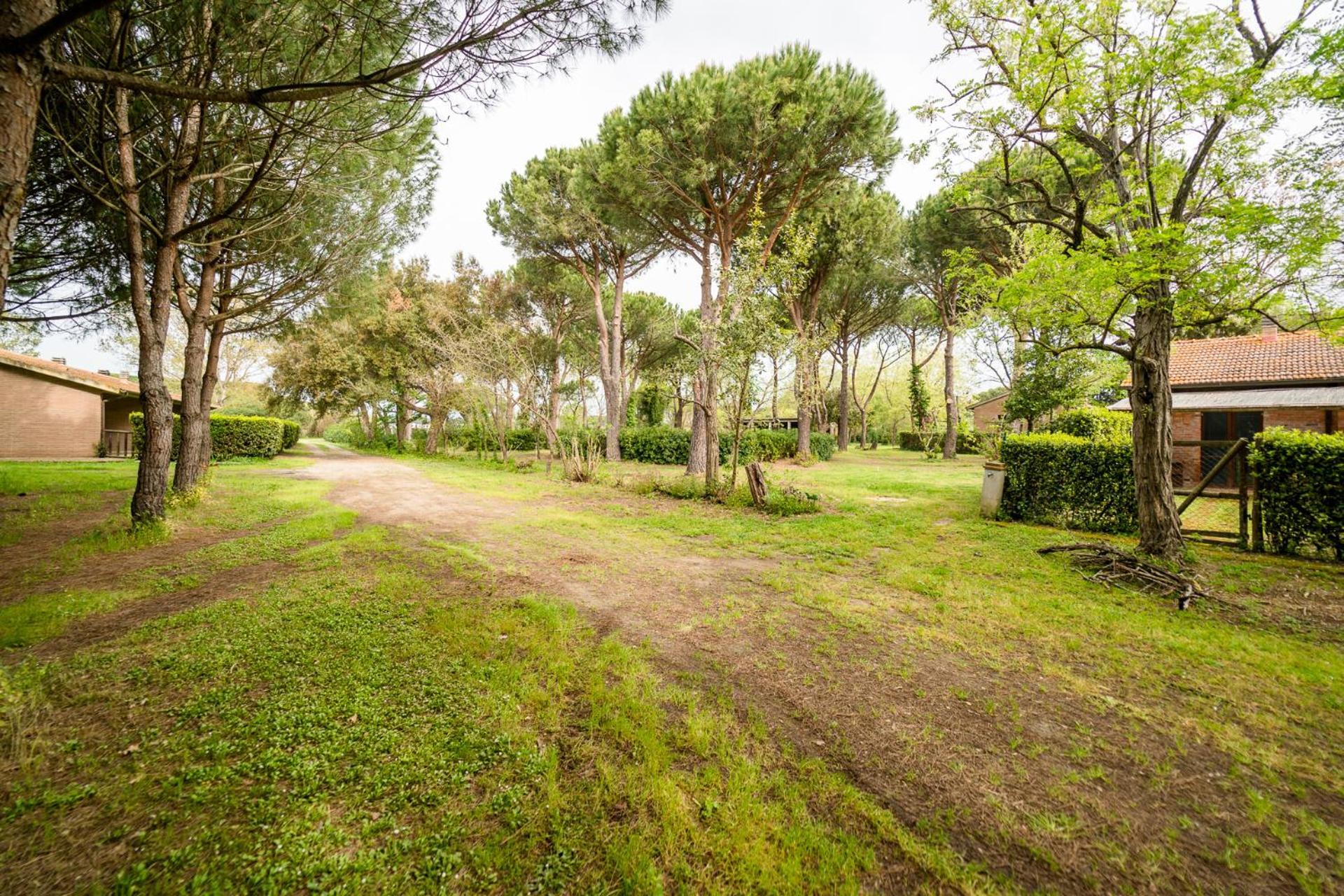 Agriturismo Bio Femminella Principina a Mare Eksteriør billede