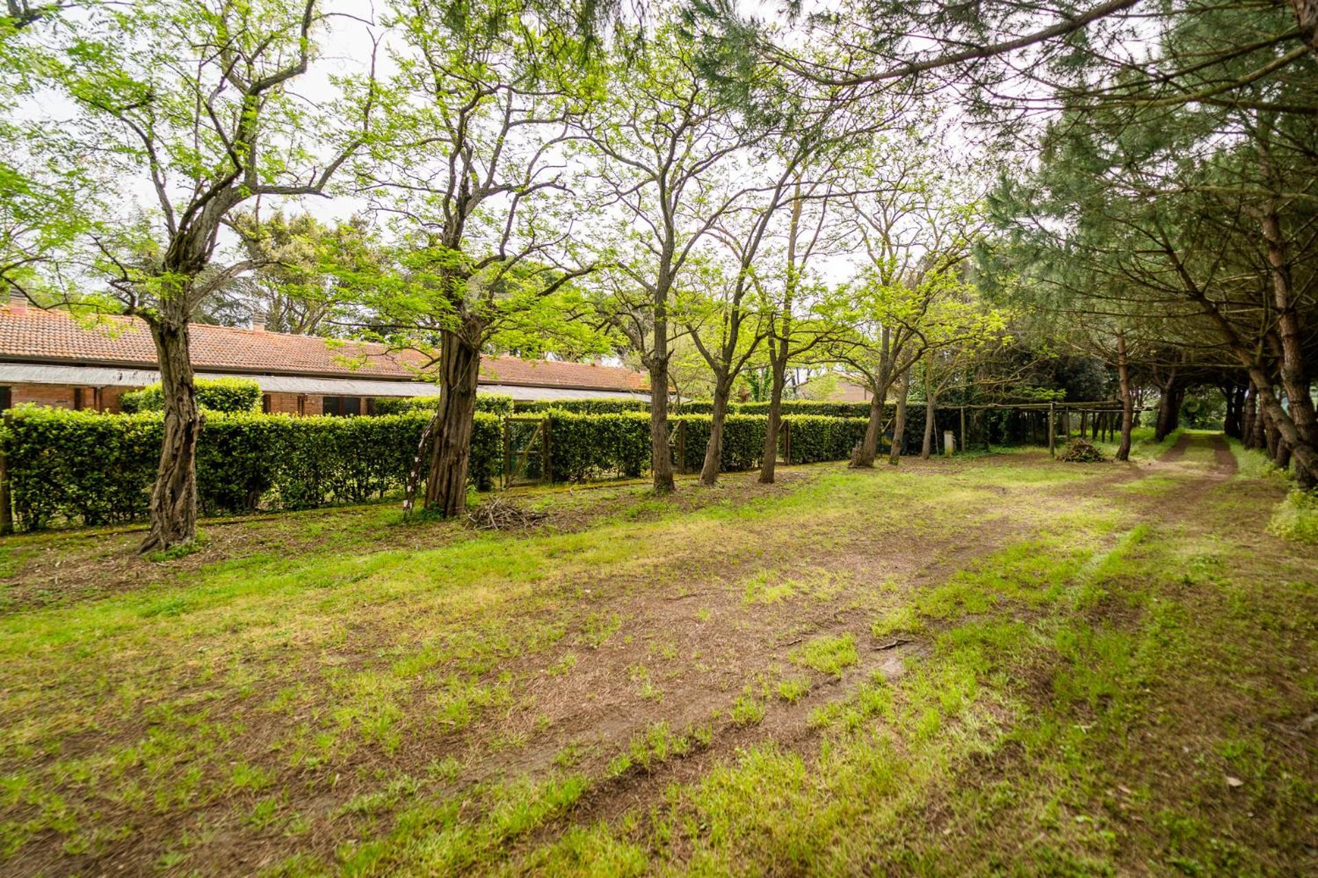Agriturismo Bio Femminella Principina a Mare Eksteriør billede