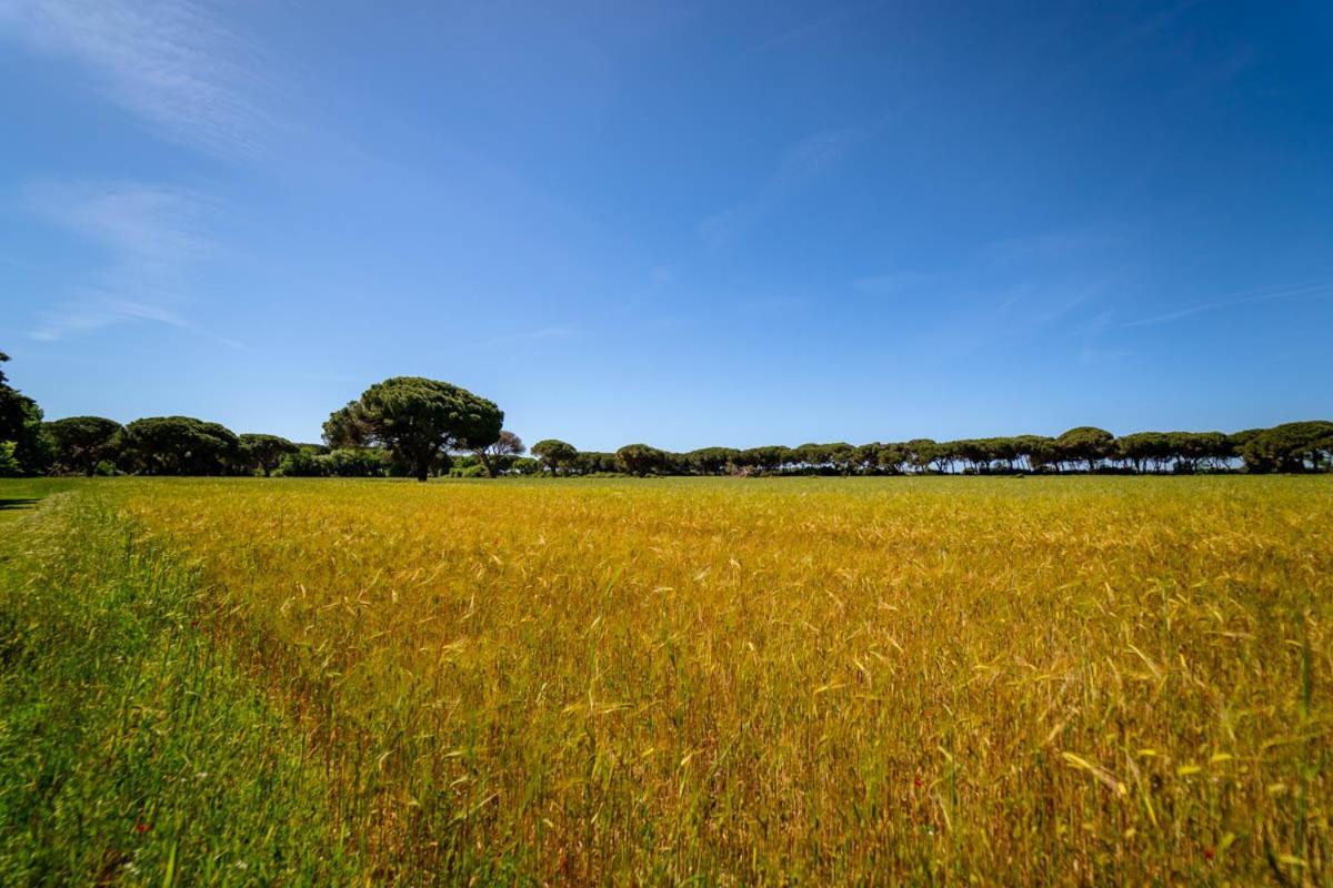 Agriturismo Bio Femminella Principina a Mare Eksteriør billede